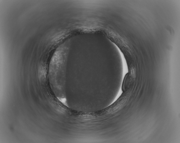 X0000111441300200908241135