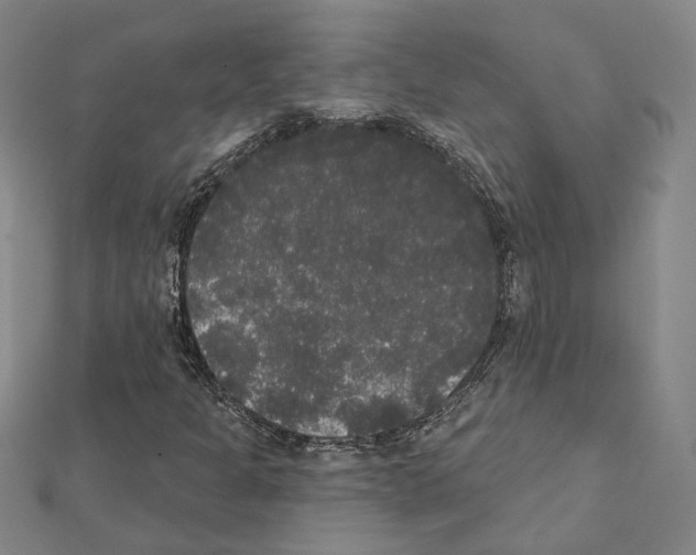 X0000111441301200908241135