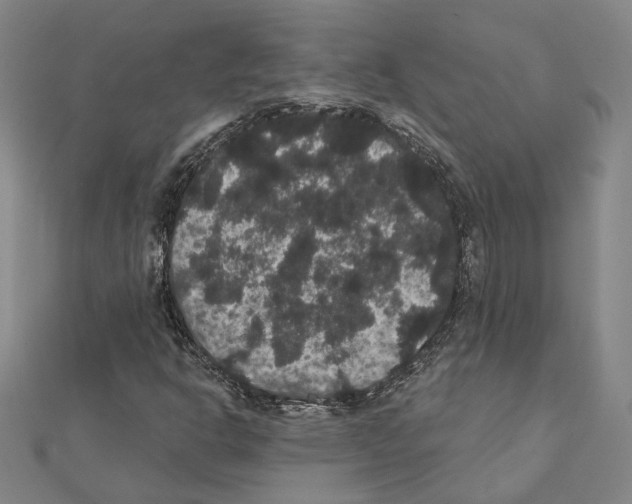 X0000111441302200908241135