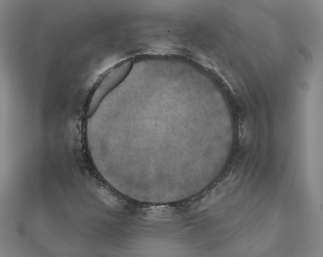 X0000111441304200908241135