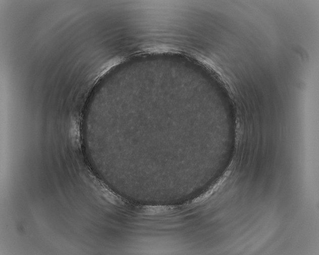 X0000111441305200908241135