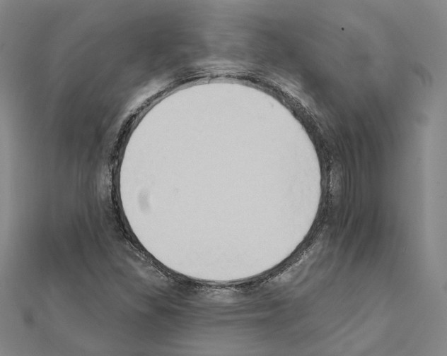 X0000111441309200908241135