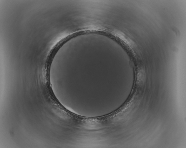 X0000111441310200908241135