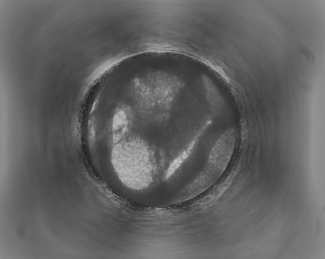 X0000111441311200908241135