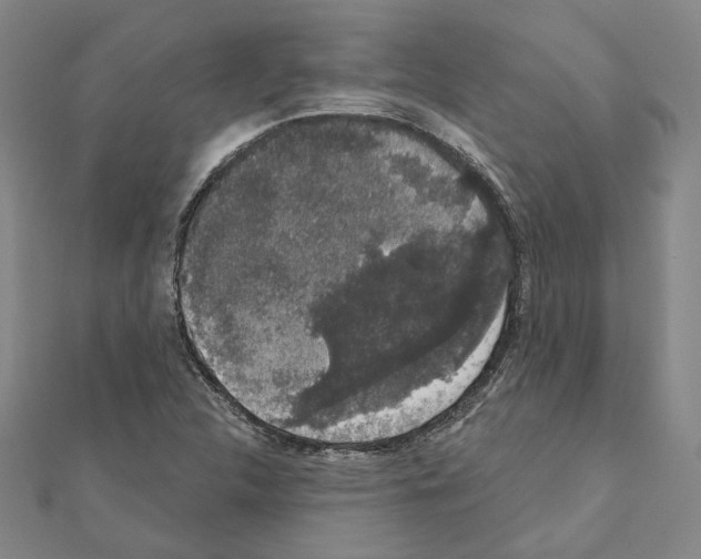 X0000111441312200908241135