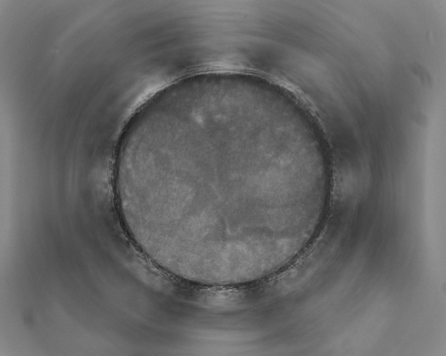 X0000111441314200908241135