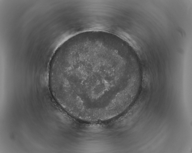 X0000111441316200908241135