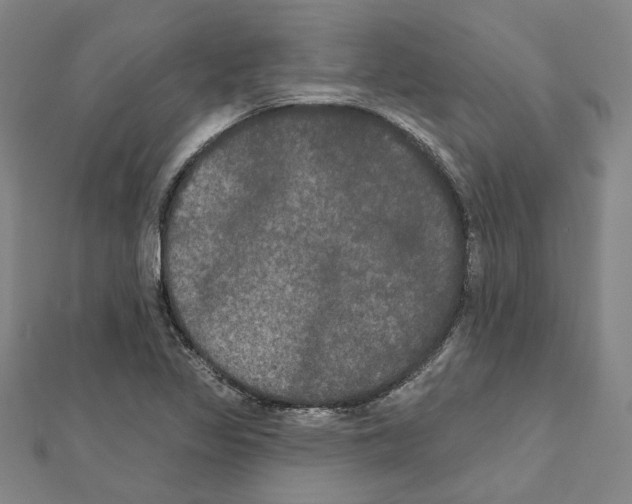 X0000111441317200908241135