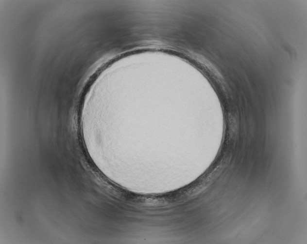 X0000111441318200908241135