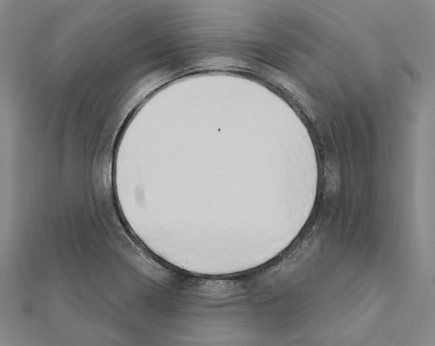 X0000111441322200908241135