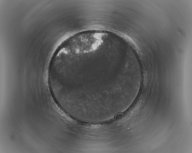 X0000111441326200908241135