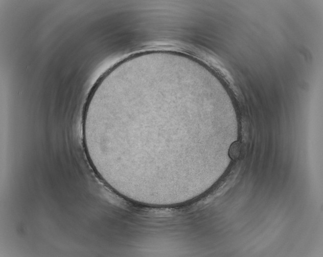 X0000111441328200908241135