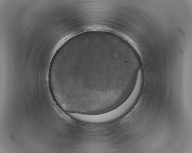 X0000111441330200908241135