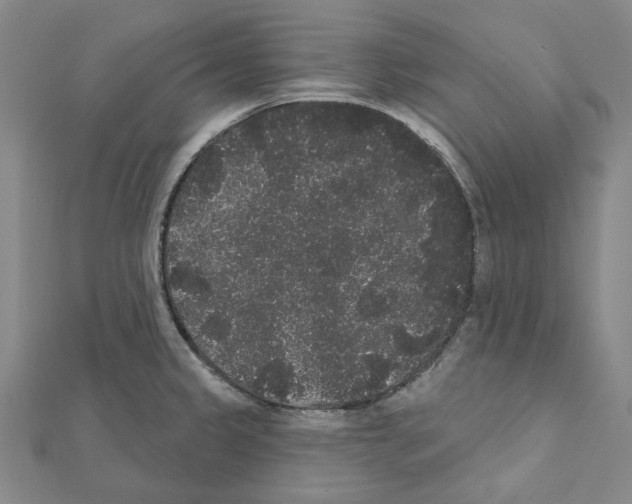 X0000111441333200908241135