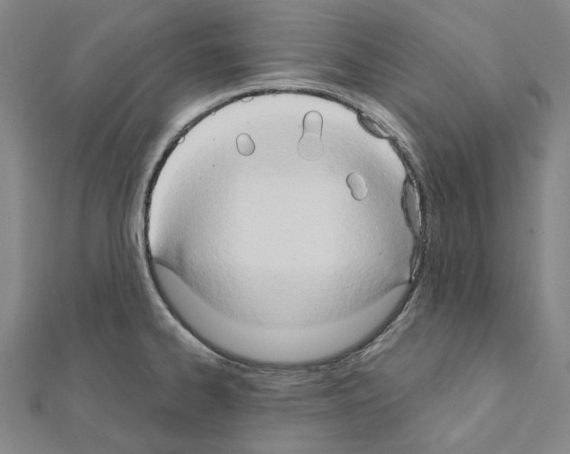 X0000111441334200908241135