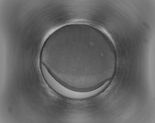 X0000111441336200908241135