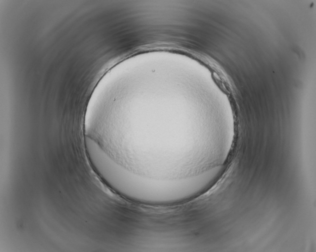 X0000111441337200908241135