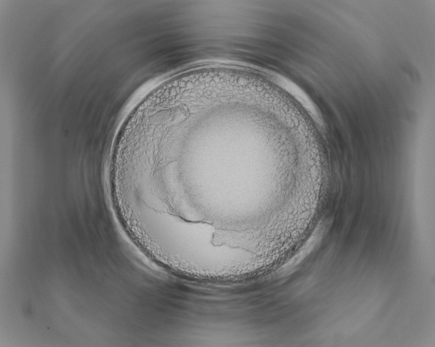 X0000111441338200908241135