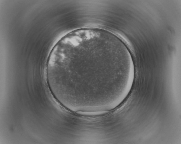 X0000111441340200908241135