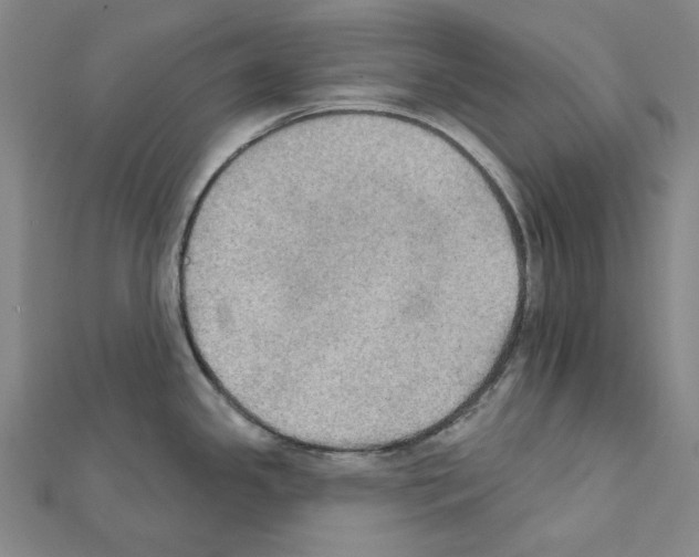 X0000111441341200908241135