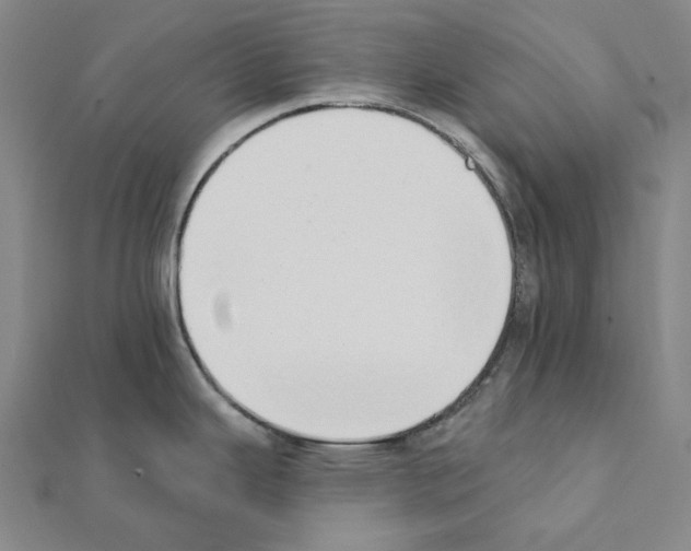 X0000111441343200908241135