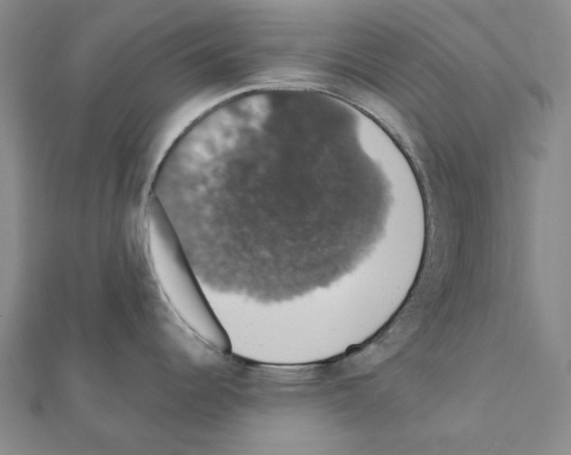 X0000111441344200908241135