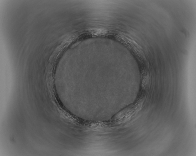 X0000111441345200908241135