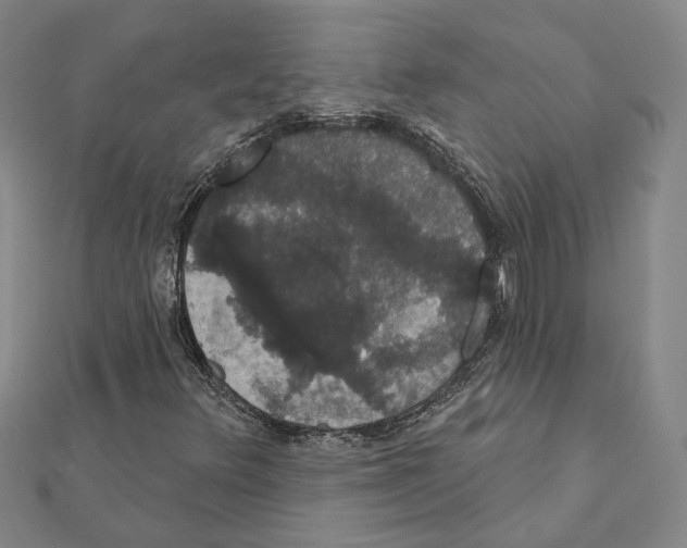 X0000111441348200908241135