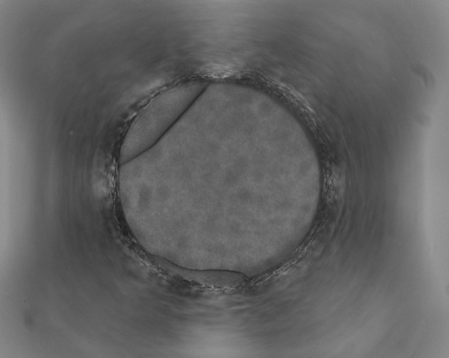 X0000111441349200908241135