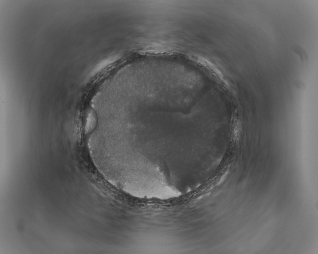 X0000111441350200908241135