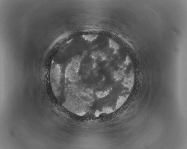 X0000111441351200908241135