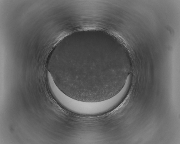 X0000111441353200908241135