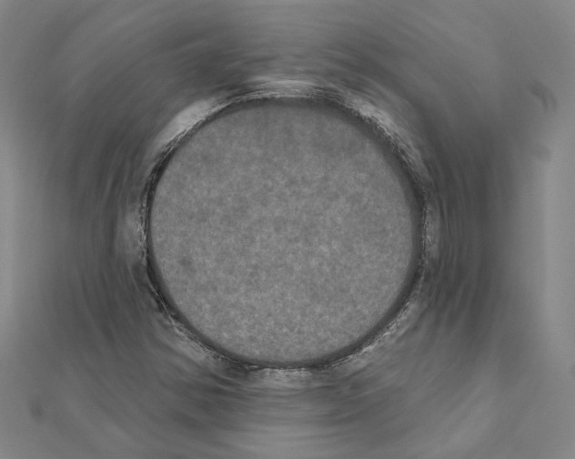 X0000111441354200908241135