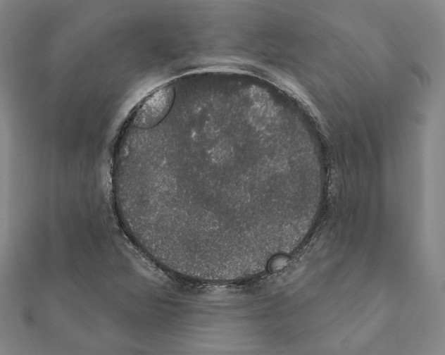 X0000111441360200908241134