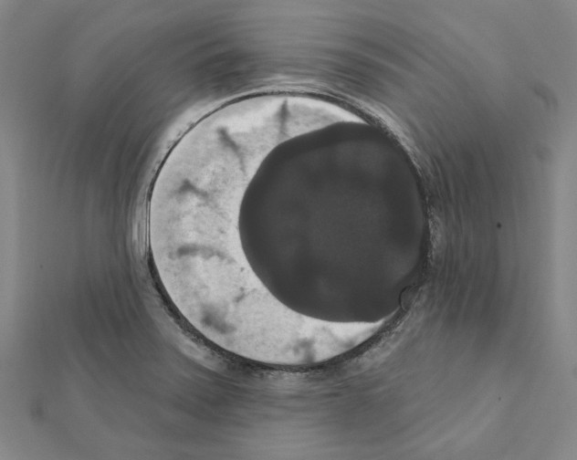 X0000111441371200908241134