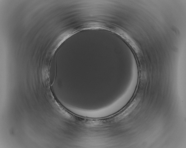 X0000111441385200908241134