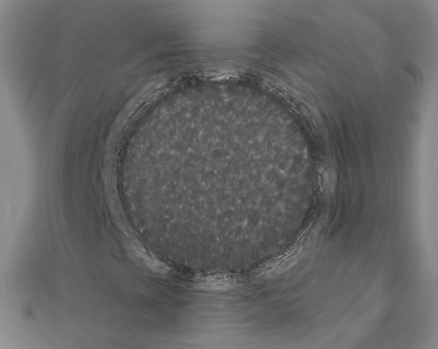 X0000111441393200908241133