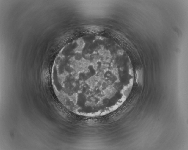 X0000111441395200908241133