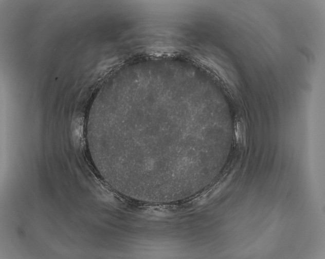 X0000111441396200908241133