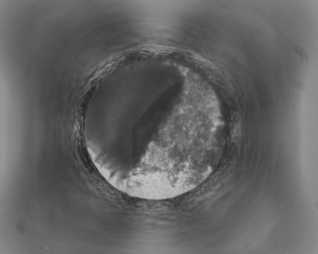 X0000111441397200908241133