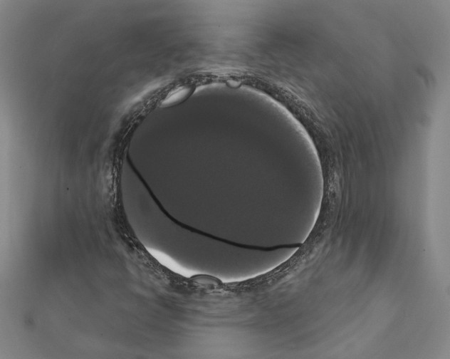 X0000111441398200908241133