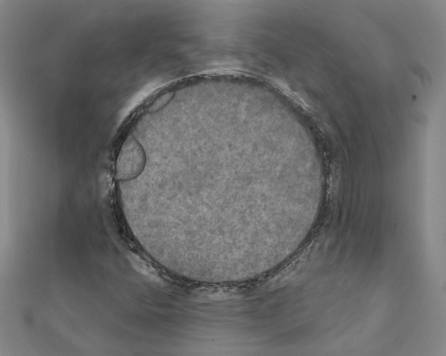 X0000111441400200908241133