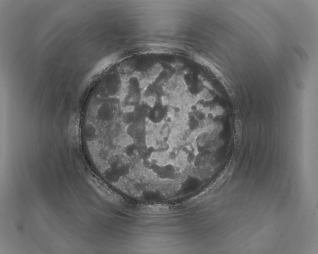 X0000111441403200908241133