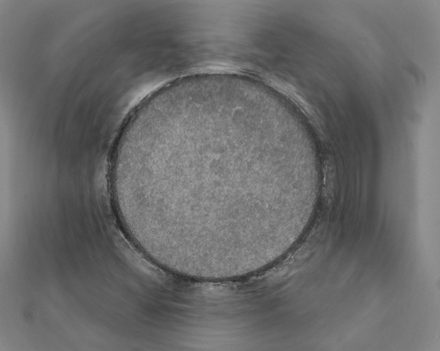 X0000111441404200908241133