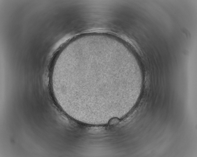 X0000111441406200908241133