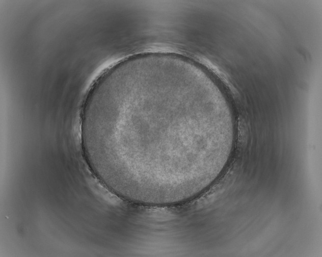 X0000111441408200908241133