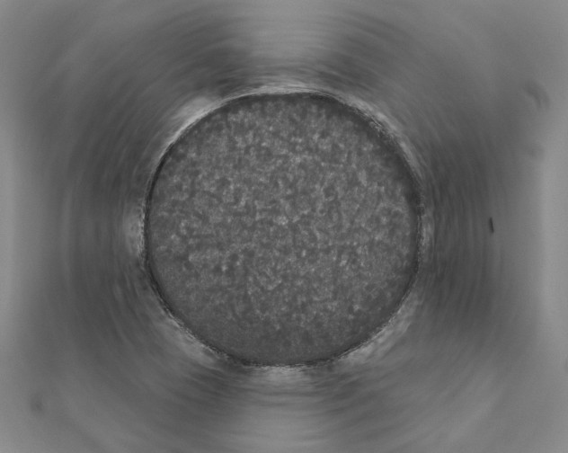 X0000111441409200908241133