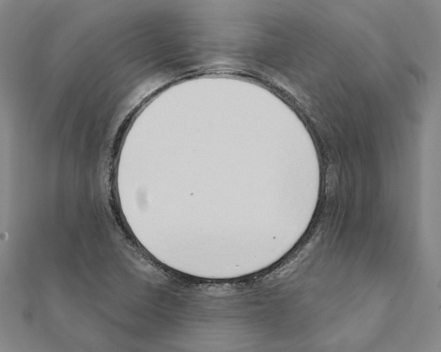 X0000111441410200908241133