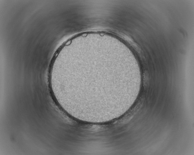 X0000111441412200908241133