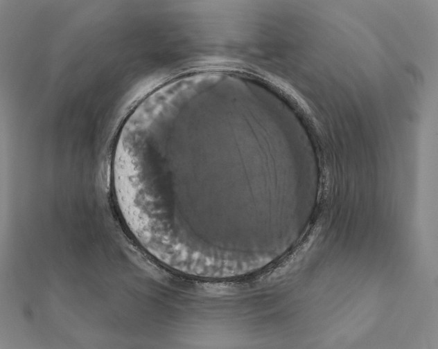 X0000111441413200908241133